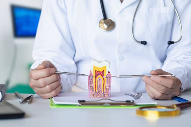 Best Urgent Tooth Repair  in Anaconda, MT